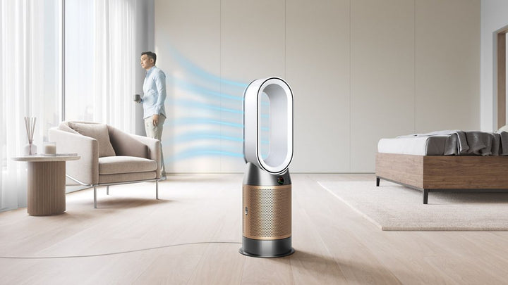 Dyson Purifier Hot+Cool HP2 De-Nox